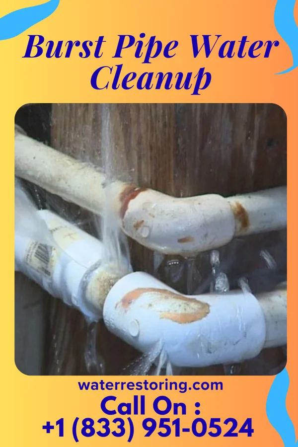 Burst Pipe Water Cleanup in Joppatowne, MD