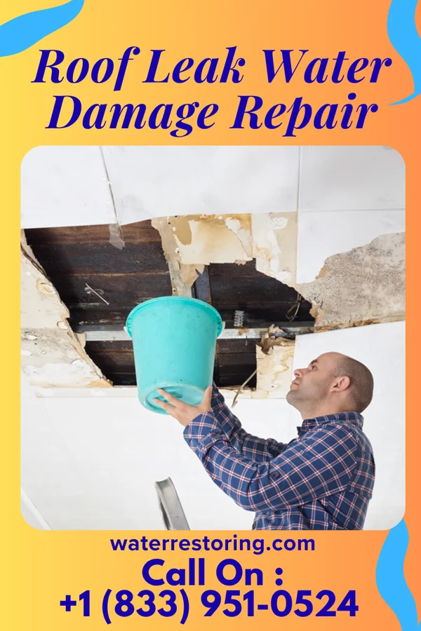 Roof Leak Water Damage Repair in Joppatowne, MD